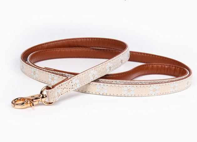 Dog Collar and Leash Set