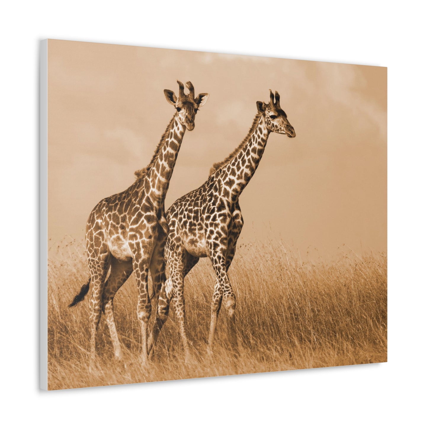 Giraffe Canvas