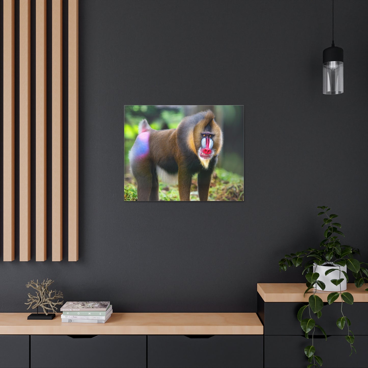 Baboon Canvas