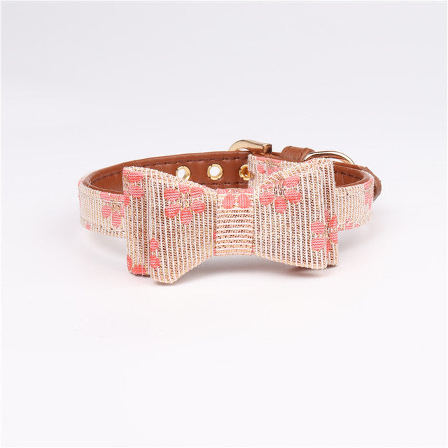 Dog Collar and Leash Set