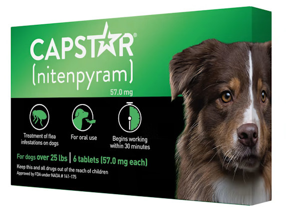Capstar Flea Treatment