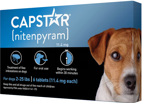 Capstar Flea Treatment