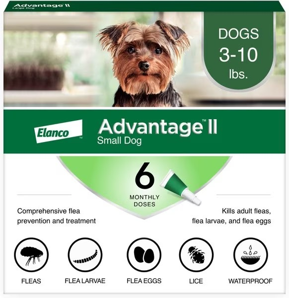 Advantage II Flea Prevention