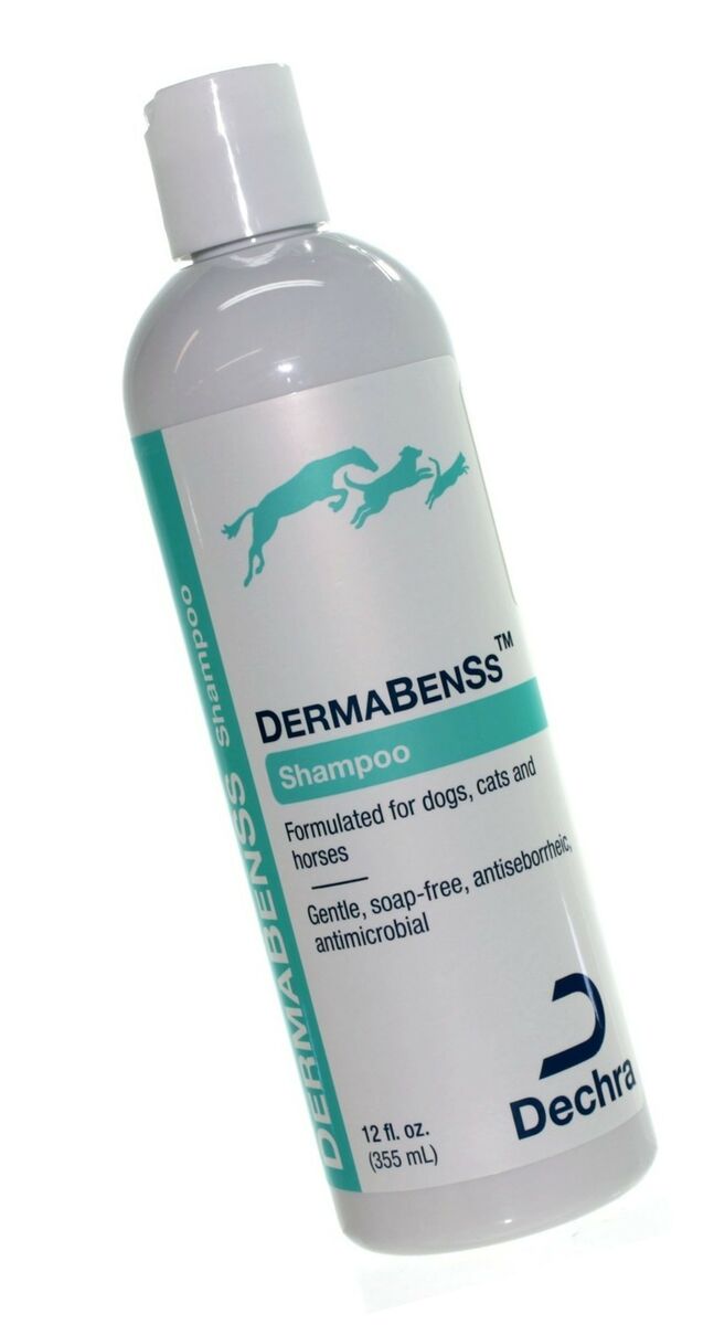 DermaBenSs Shampoo