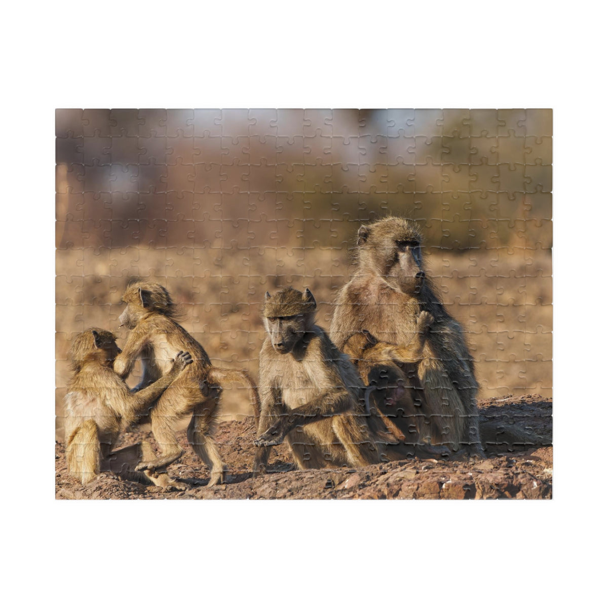 Baboon Family Wildlife Puzzle — Scenic African Safari Jigsaw (110–1014 pcs)