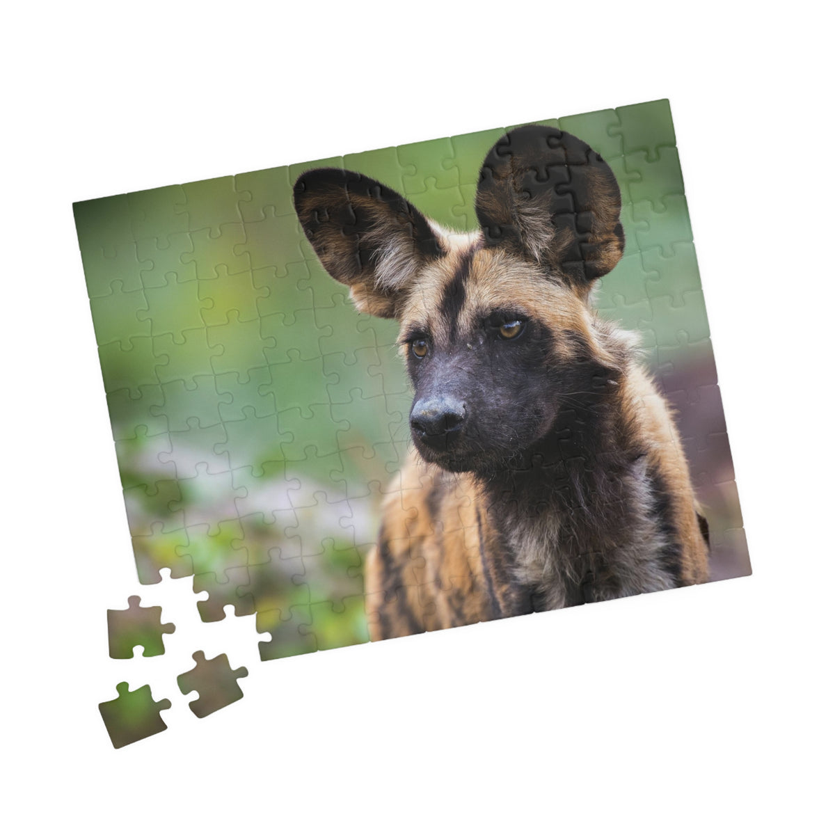 African Wild Dog Jigsaw Puzzle — Wildlife Photography Puzzle (110/252/520/1014 pcs)
