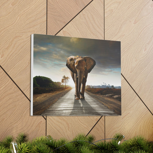 Elephant Canvas