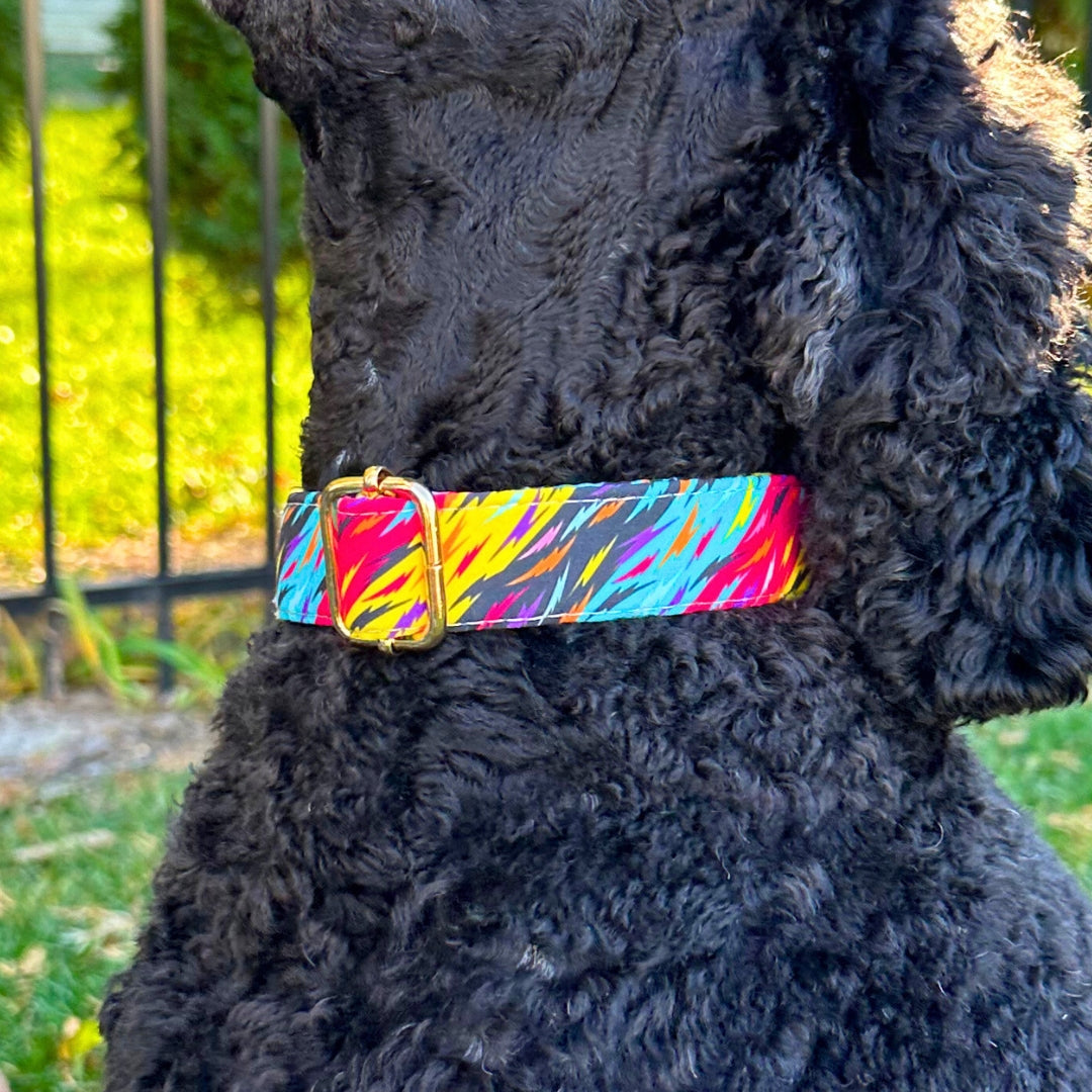 Dog Collars