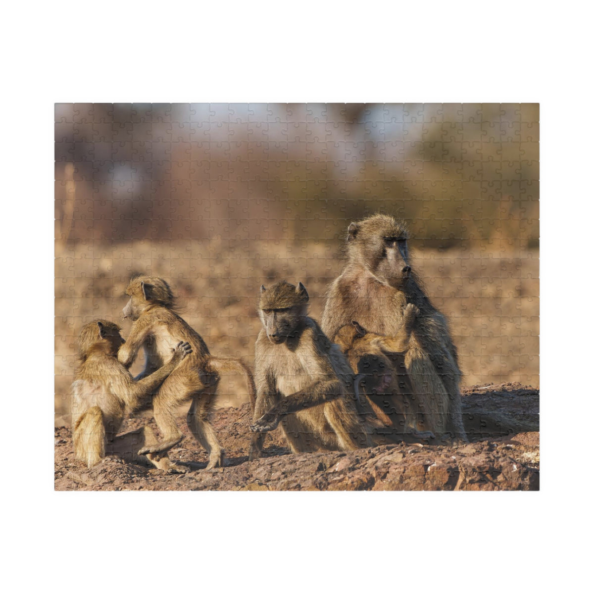 Baboon Family Wildlife Puzzle — Scenic African Safari Jigsaw (110–1014 pcs)