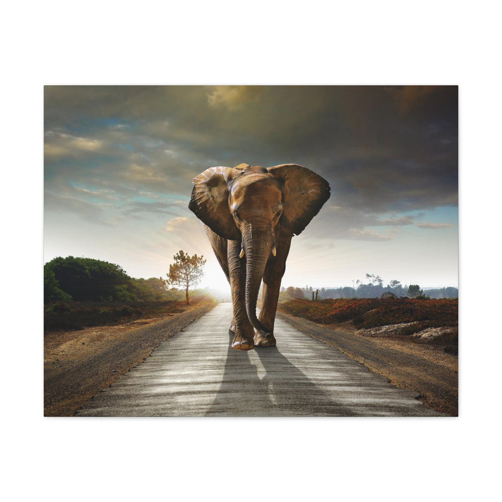 Elephant Canvas