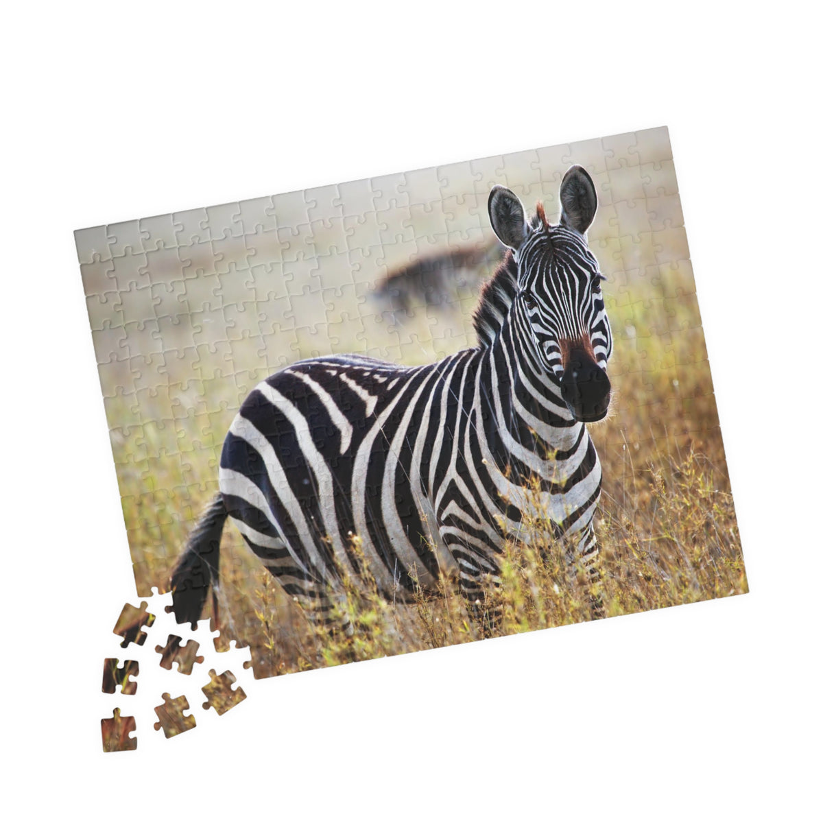 Zebra in Grassland Jigsaw Puzzle — Wildlife Photo Puzzle (110/252/520/1014 pcs)