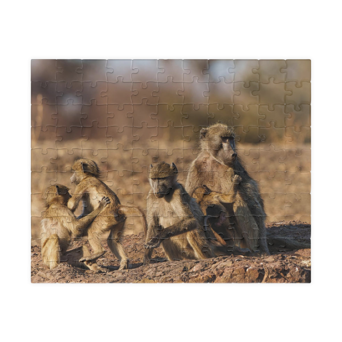 Baboon Family Wildlife Puzzle — Scenic African Safari Jigsaw (110–1014 pcs)