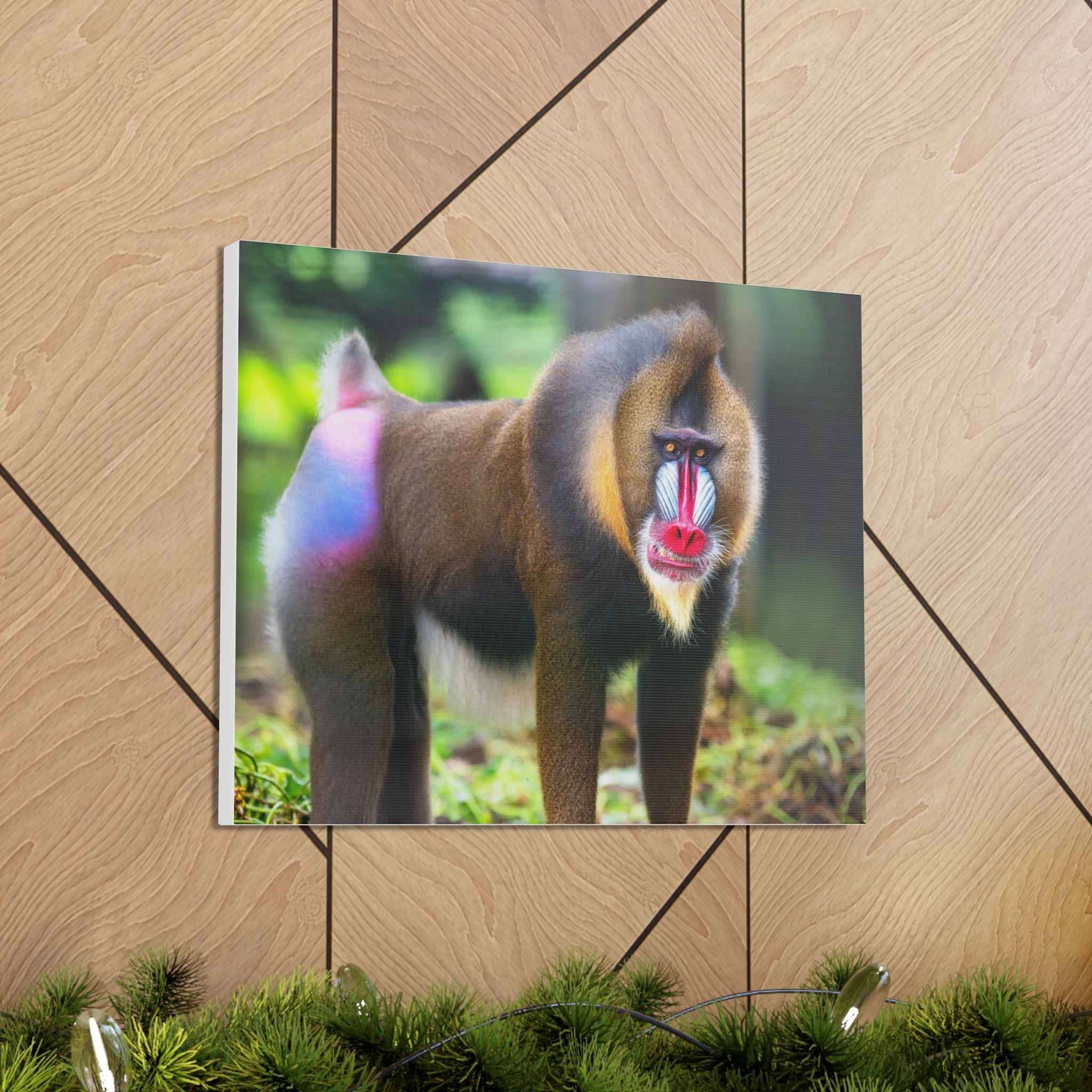 Baboon Canvas