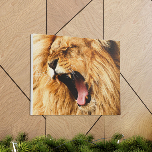 Lion Canvas