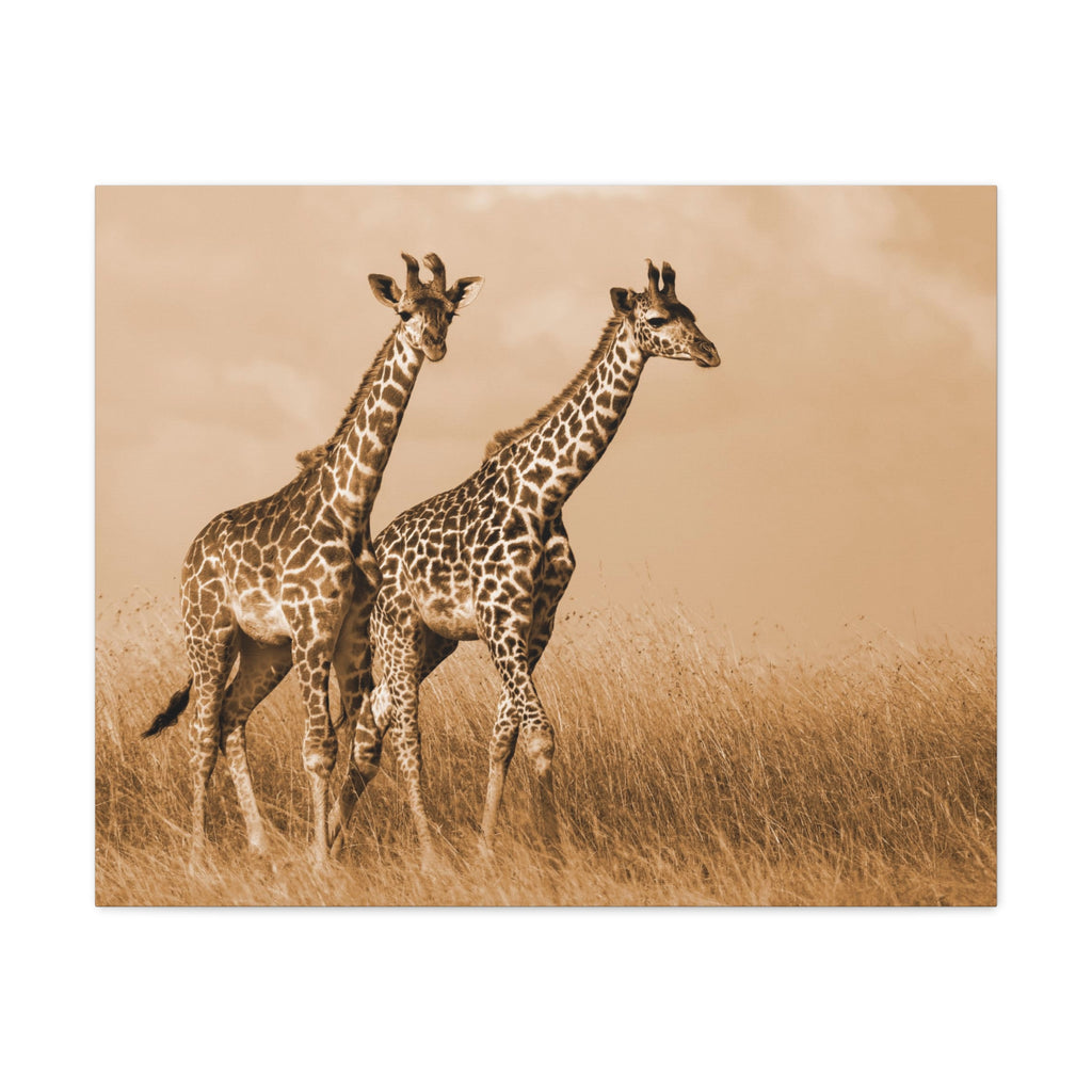 Giraffe Canvas