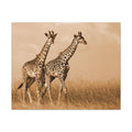 Giraffe Canvas