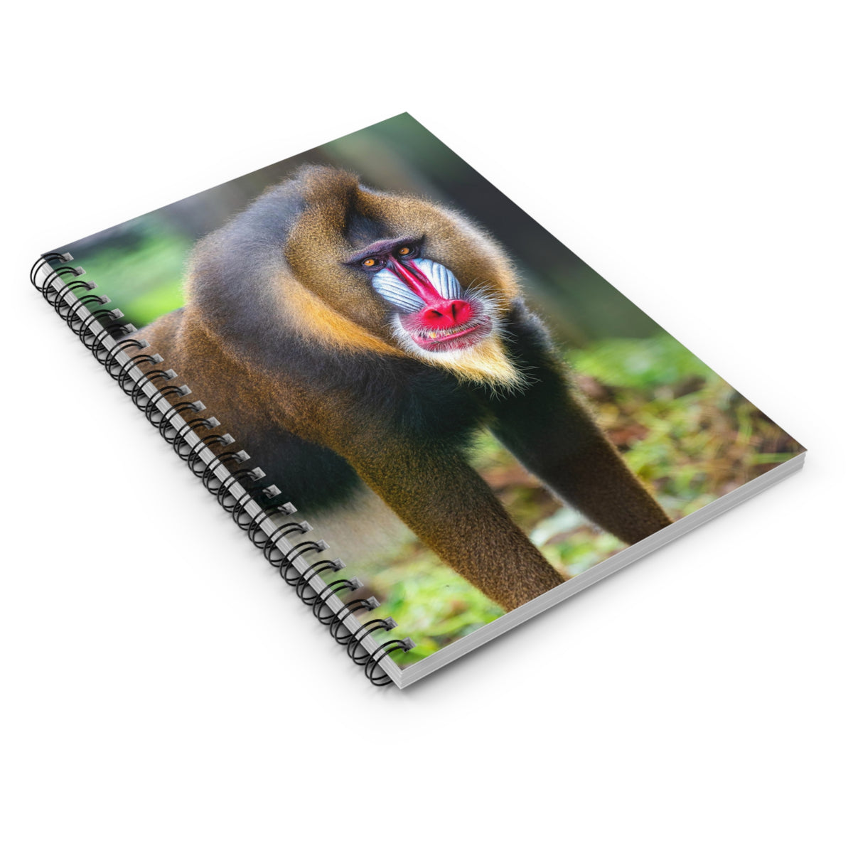 Mandrill Portrait Spiral Notebook — Colorful Primate Photo Ruled Journal