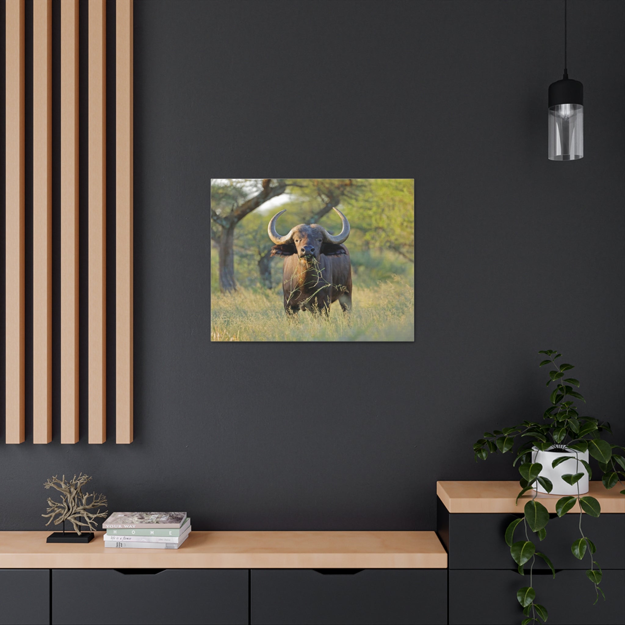 Buffalo Canvas