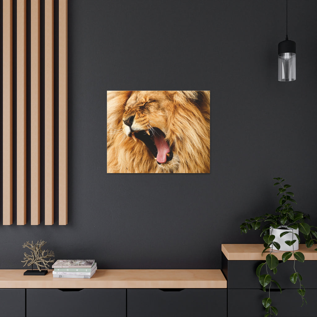 Lion Canvas