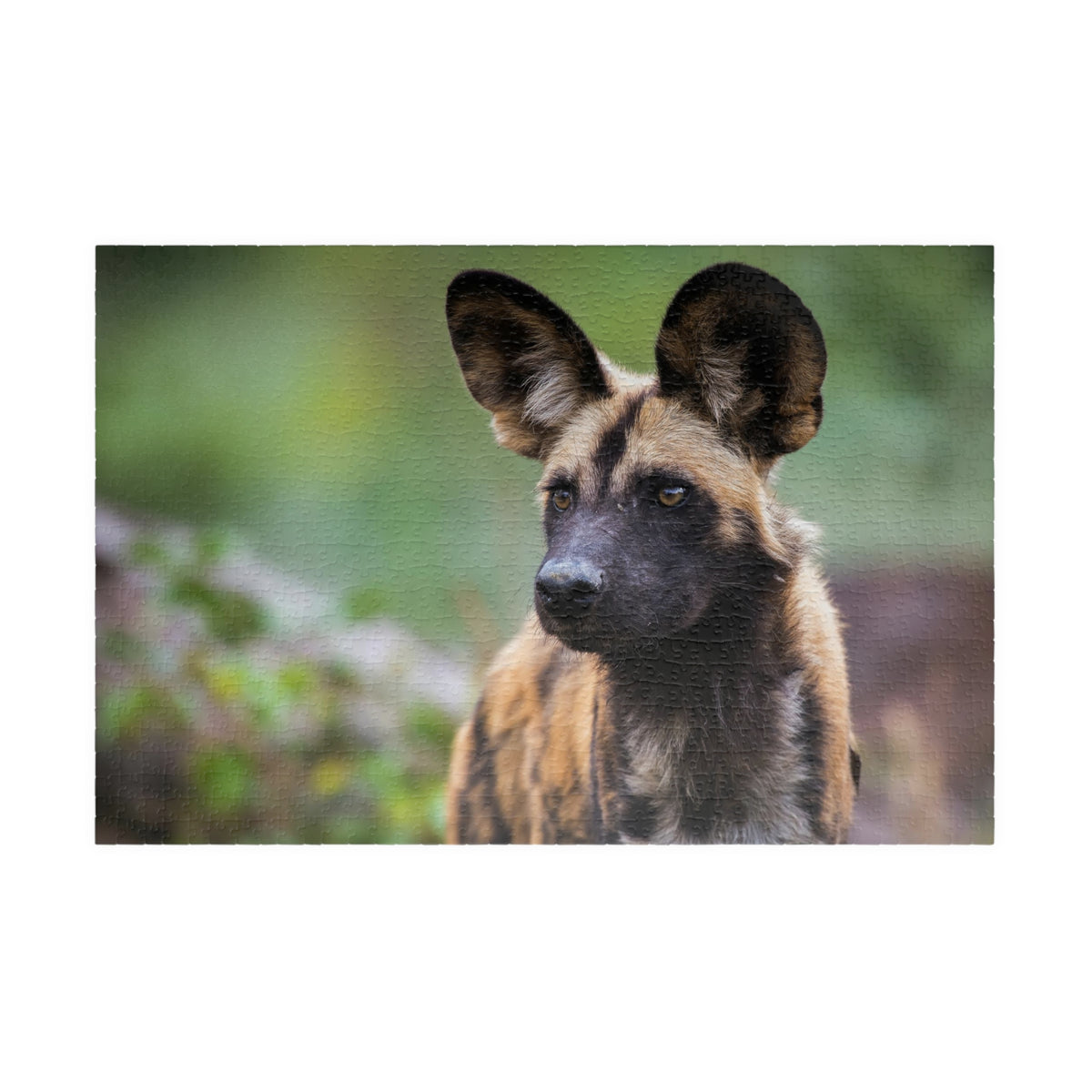 African Wild Dog Jigsaw Puzzle — Wildlife Photography Puzzle (110/252/520/1014 pcs)