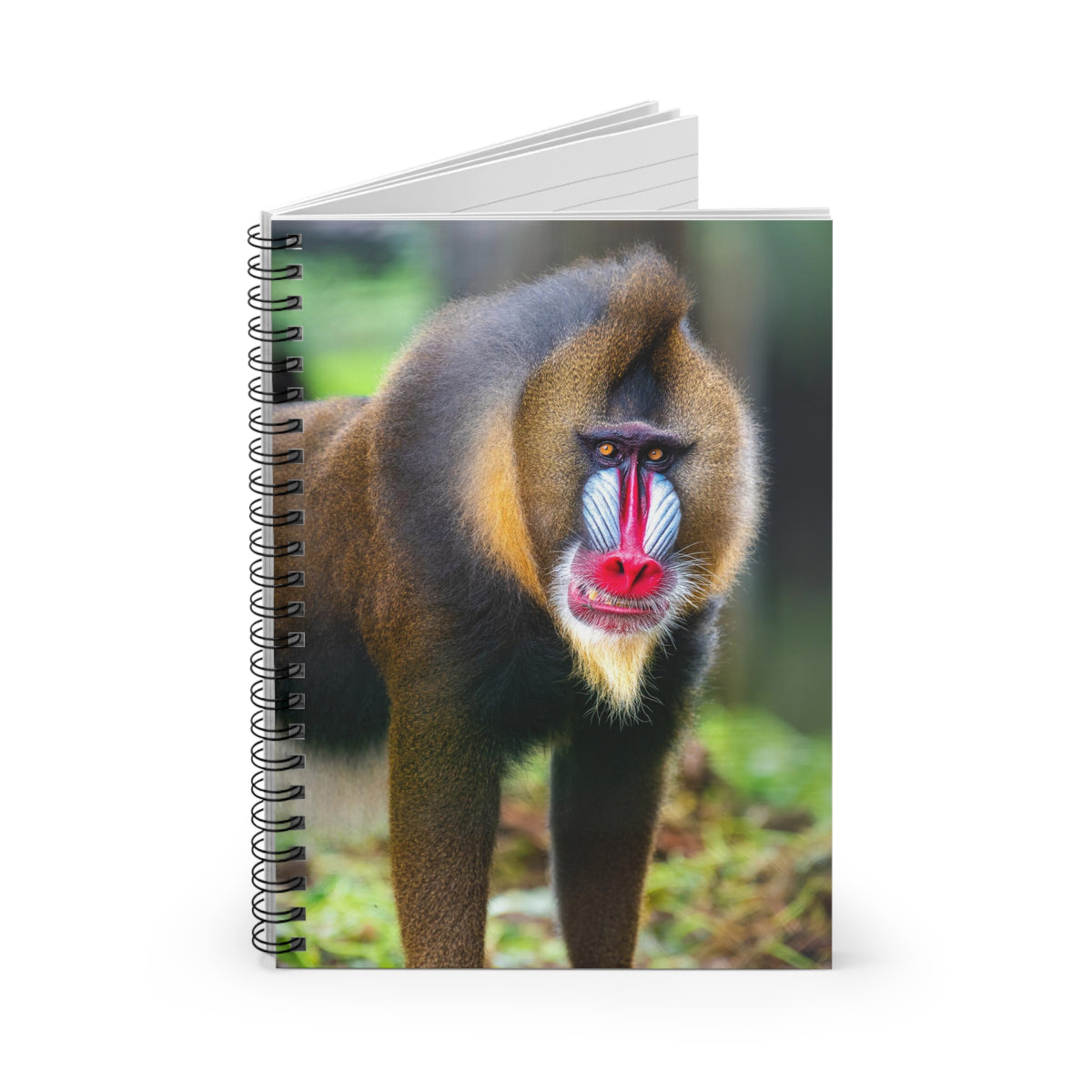 Mandrill Portrait Spiral Notebook — Colorful Primate Photo Ruled Journal