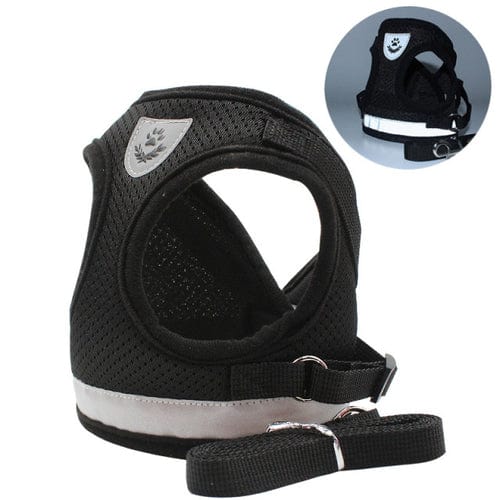 Cat Harness with Leash