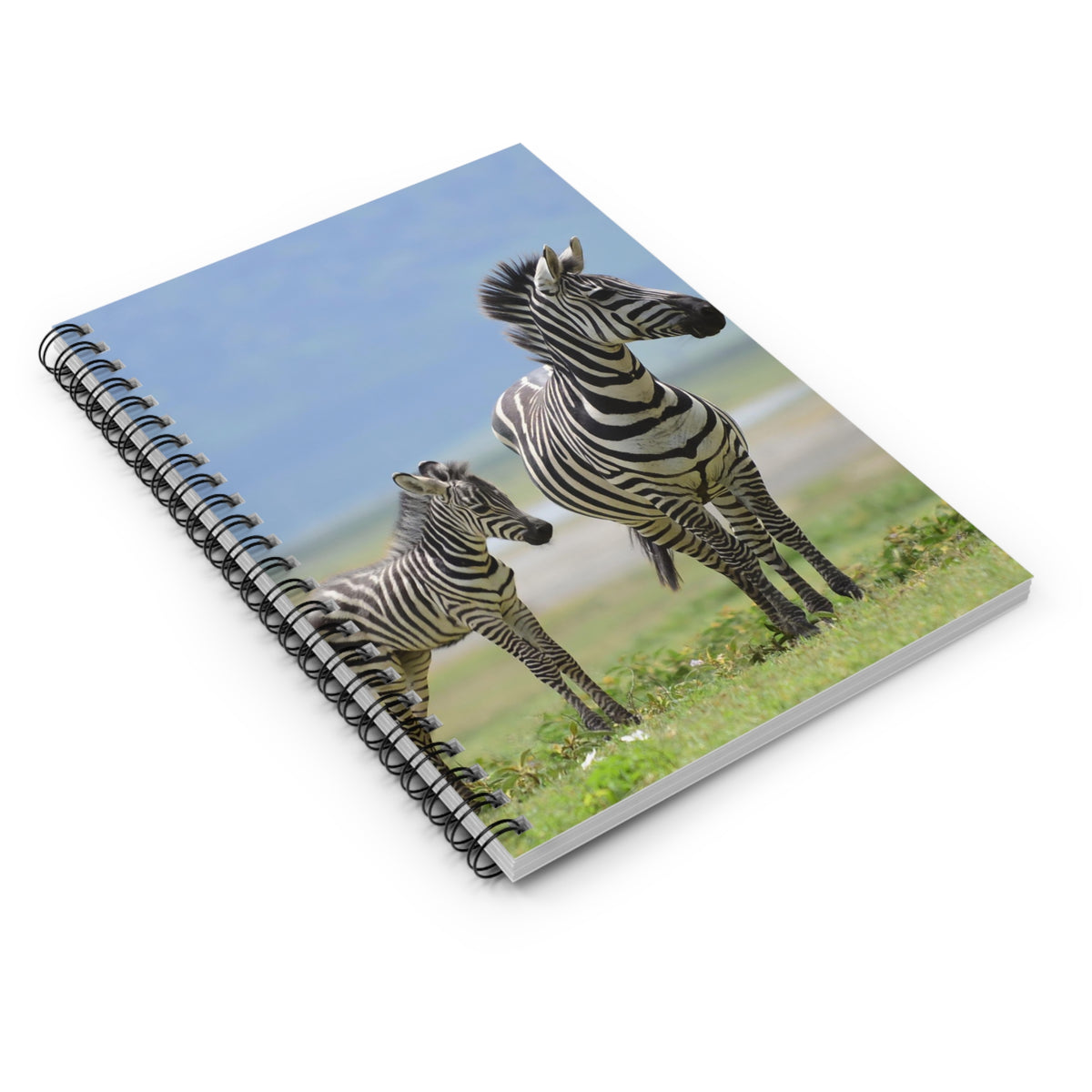 Zebra Mama & Foal Spiral Notebook — Ruled Journal for Wildlife Lovers