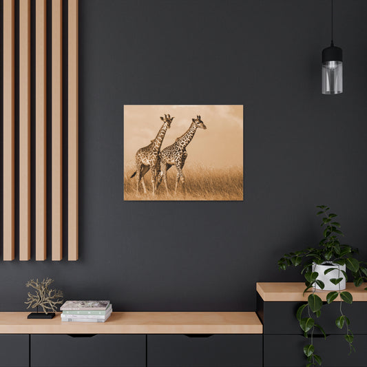 Giraffe Canvas