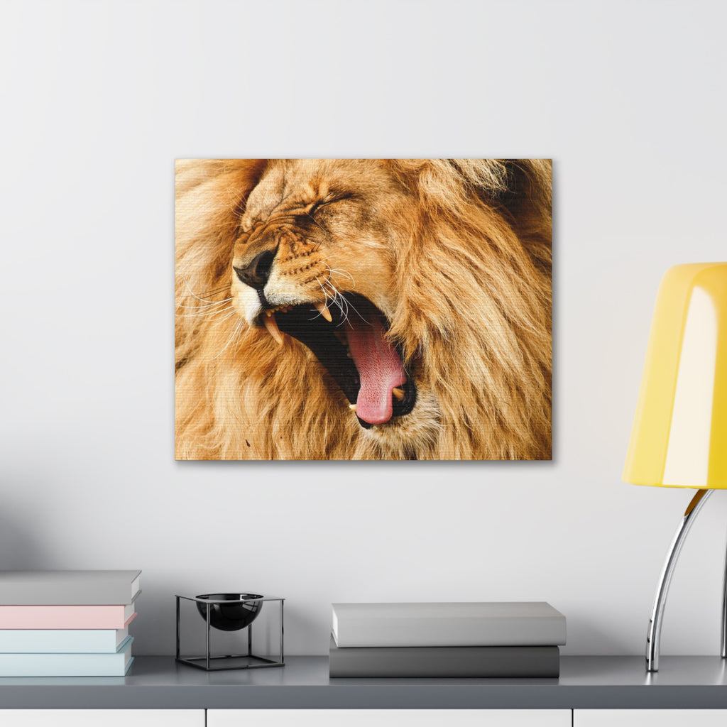Lion Canvas