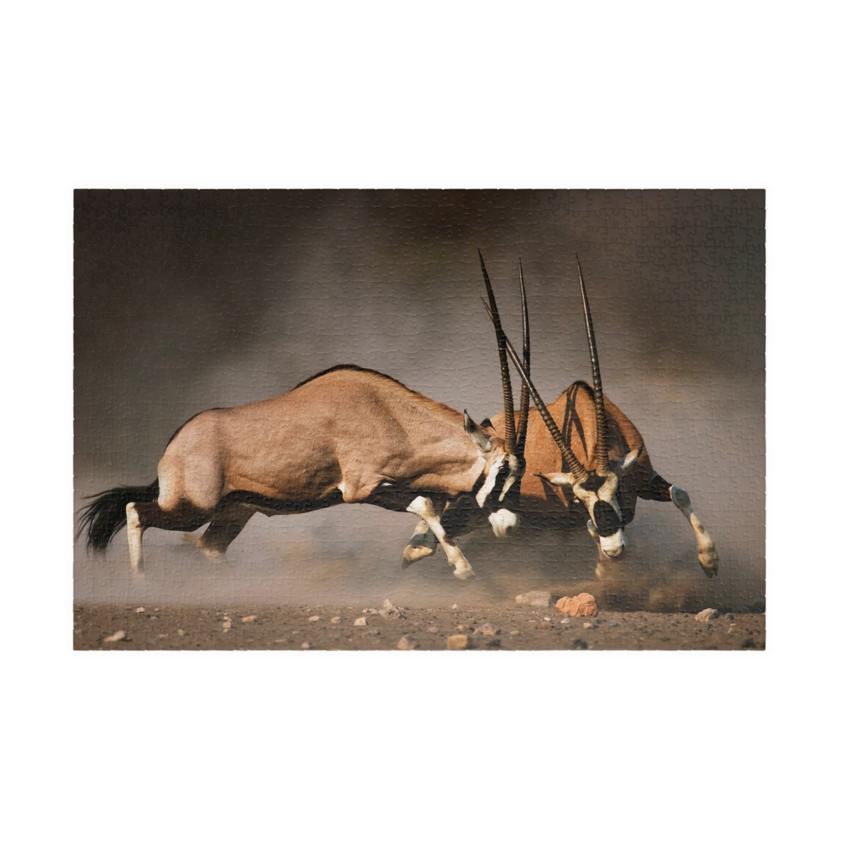 Gemsbok Antelope Jigsaw Puzzle — Wildlife Action Photography Puzzle (110–1014 pcs)