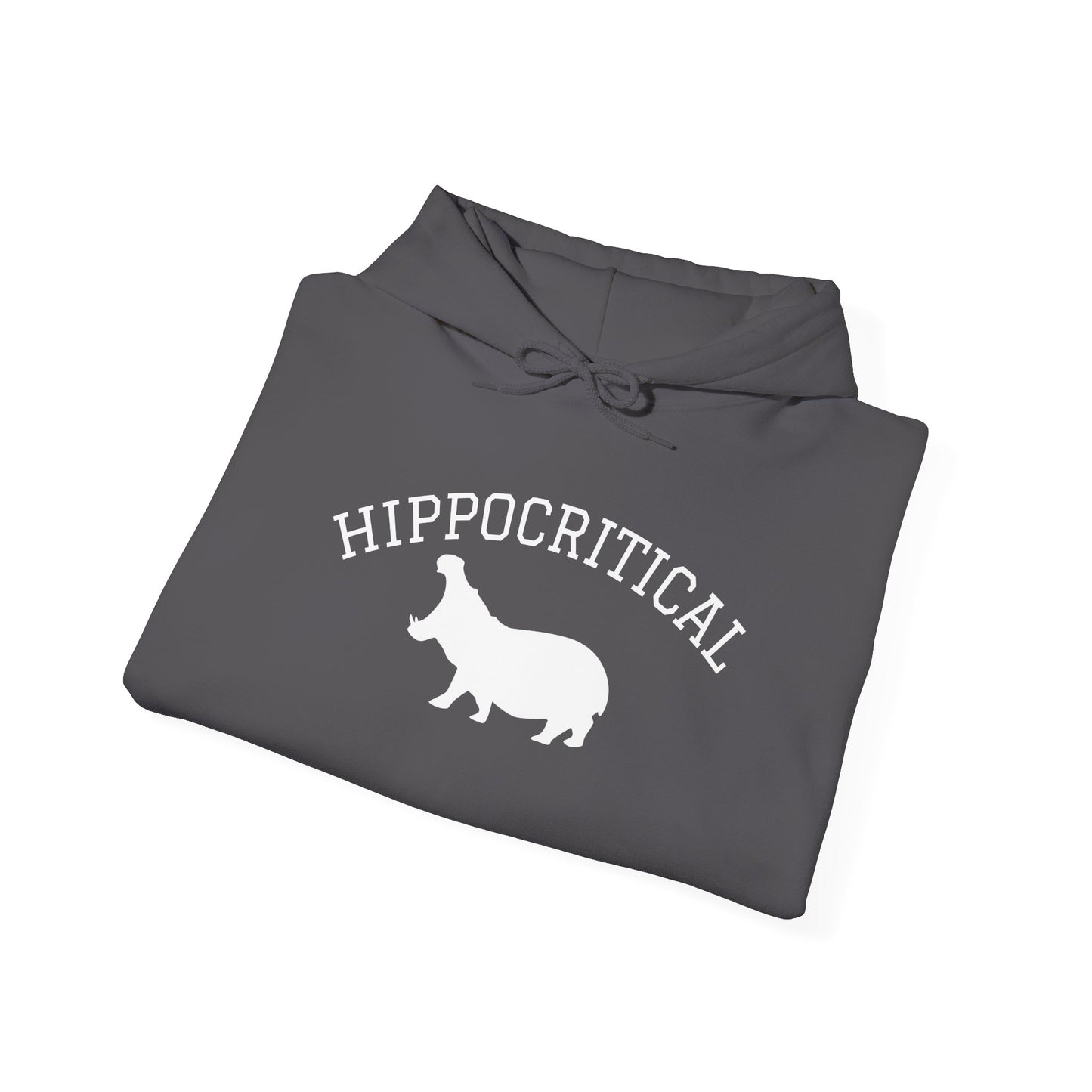 Hippocritical Hoodie