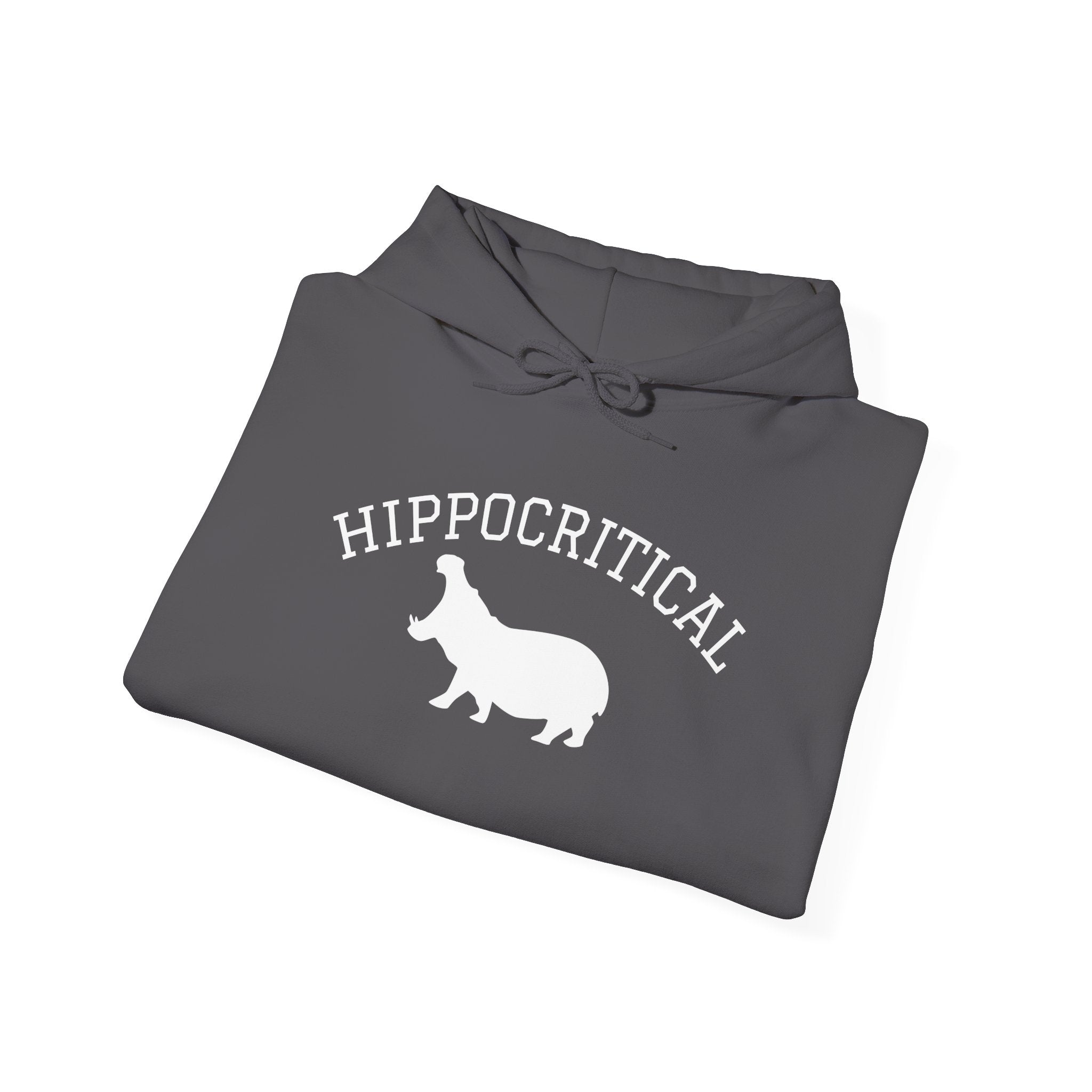 Hippocritical Hoodie