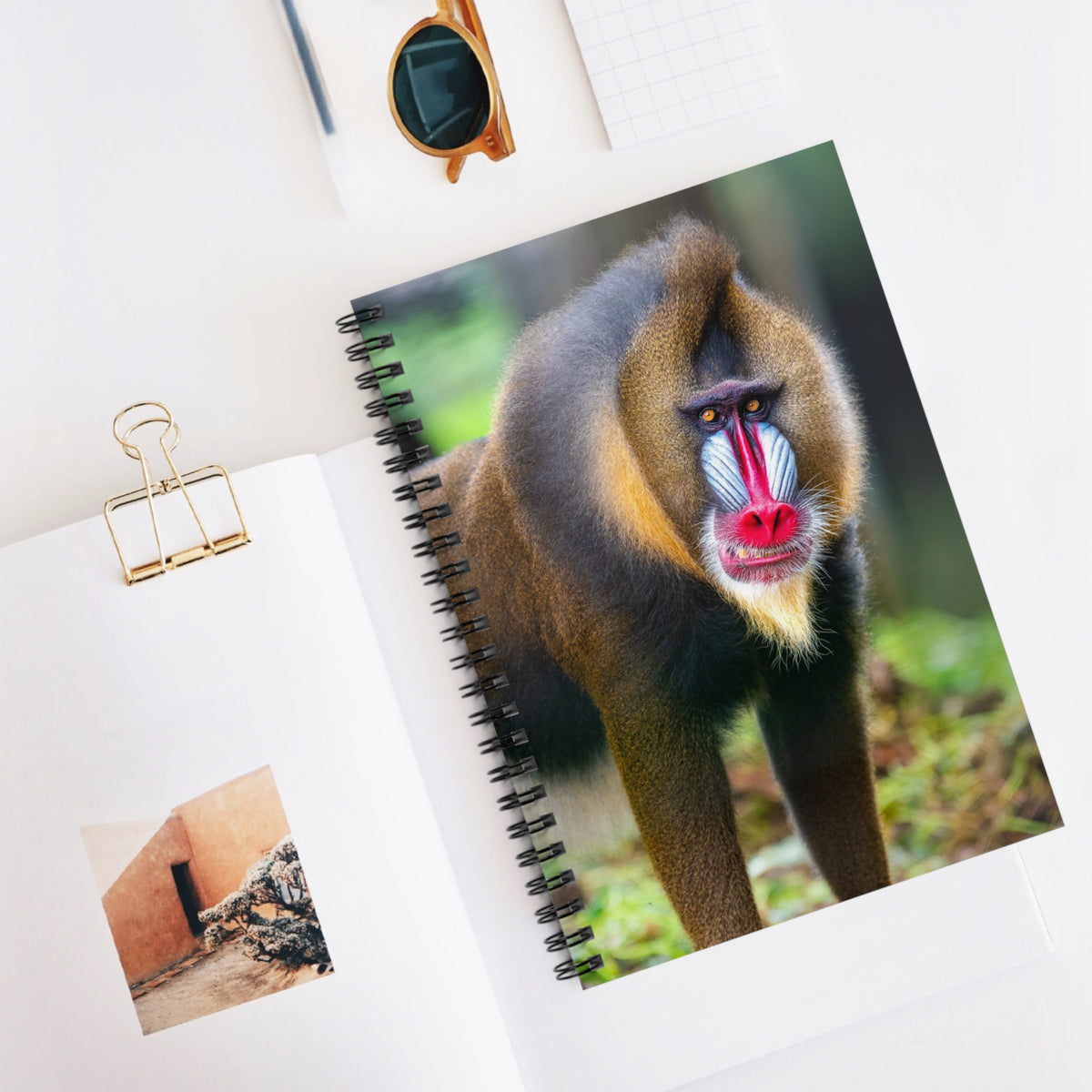 Mandrill Portrait Spiral Notebook — Colorful Primate Photo Ruled Journal