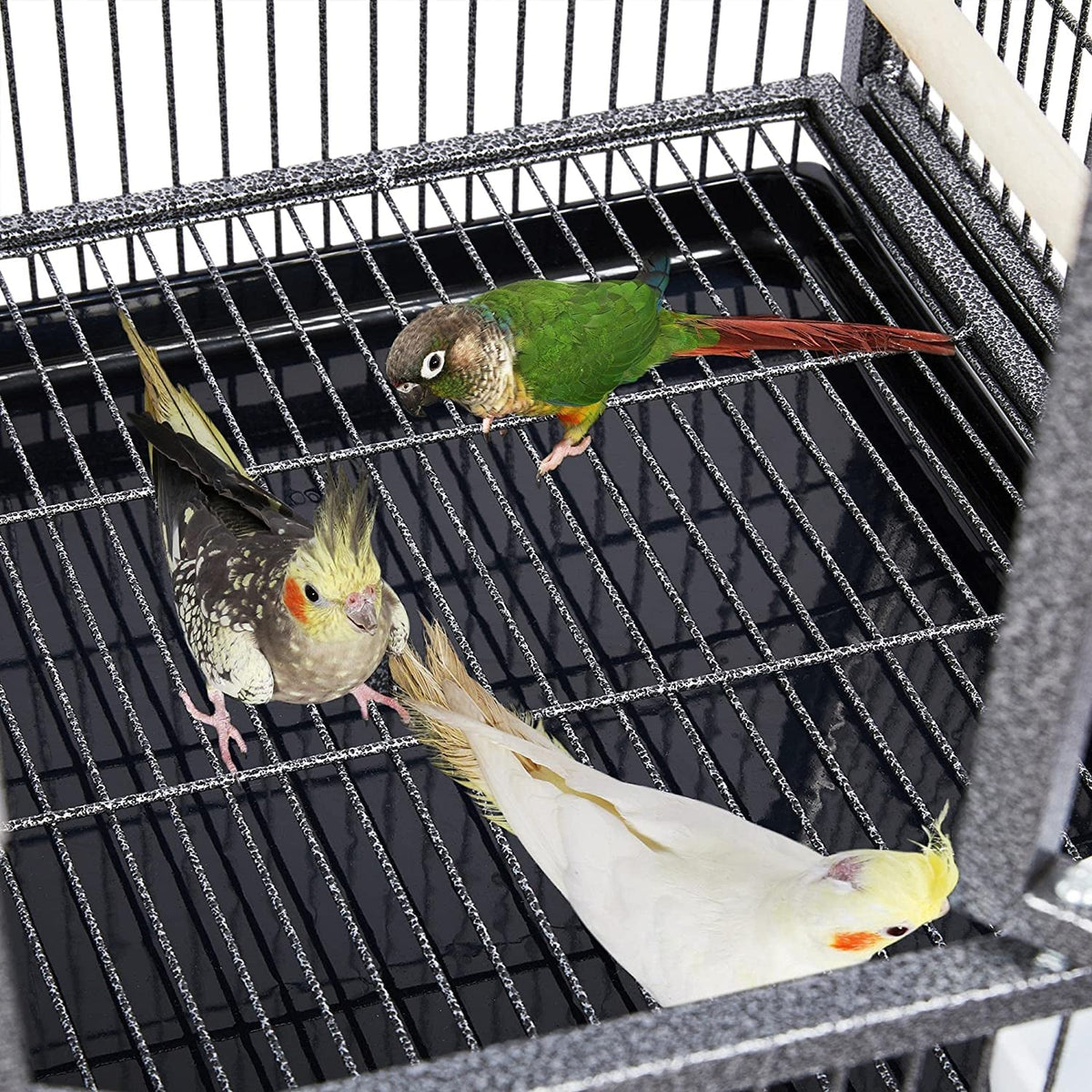41.5" Stackable Divided Breeder for Bird