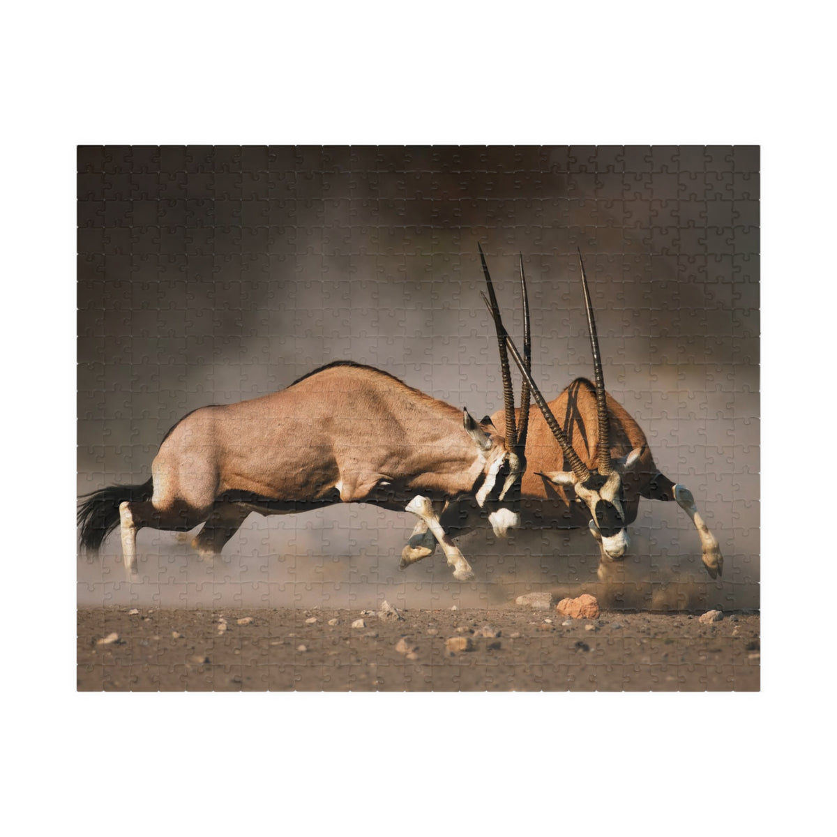 Gemsbok Antelope Jigsaw Puzzle — Wildlife Action Photography Puzzle (110–1014 pcs)