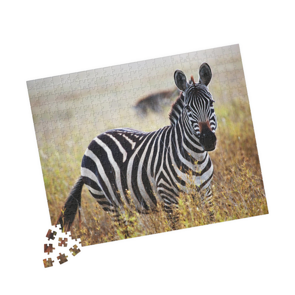 Zebra in Grassland Jigsaw Puzzle — Wildlife Photo Puzzle (110/252/520/1014 pcs)