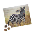 Zebra in Grassland Jigsaw Puzzle — Wildlife Photo Puzzle (110/252/520/1014 pcs)