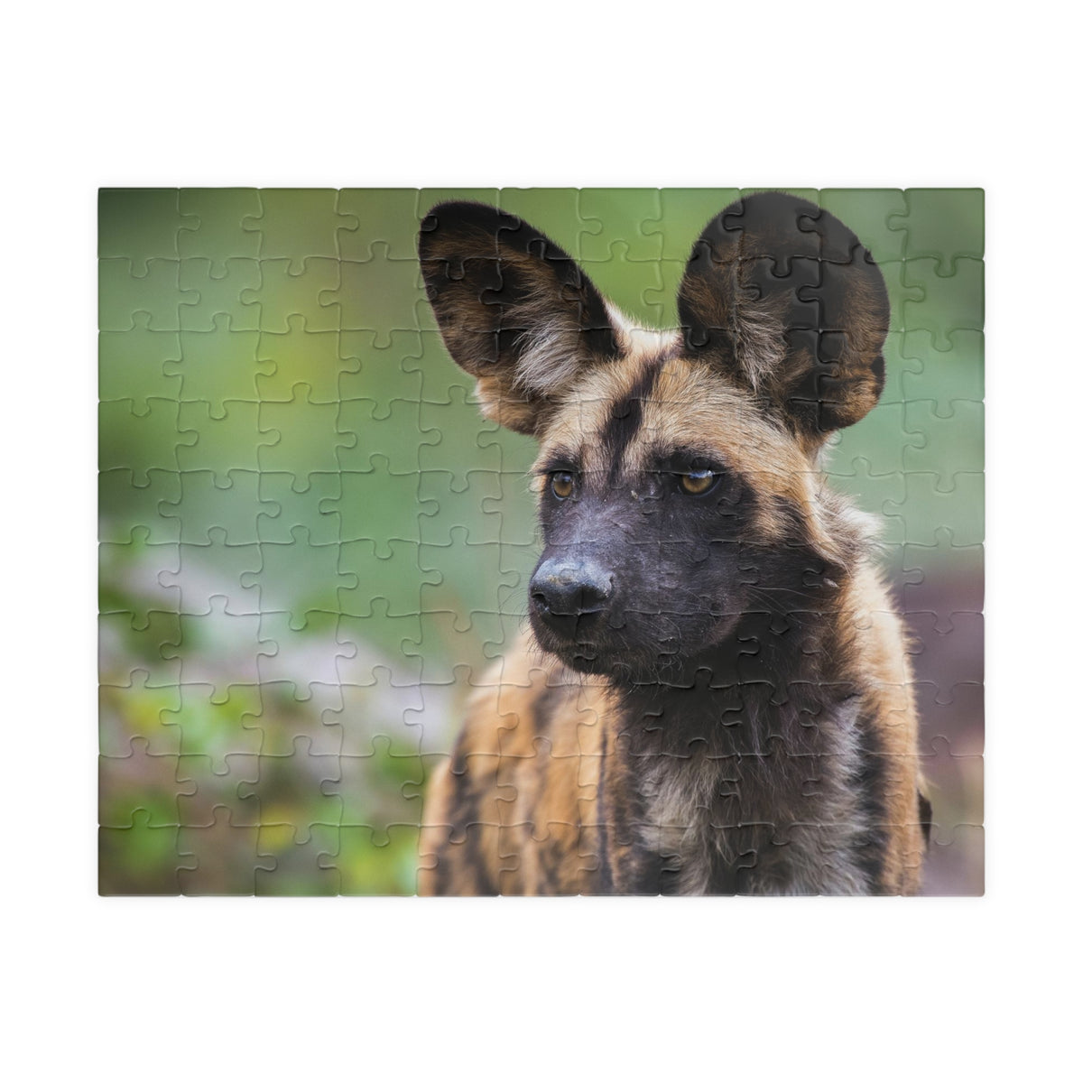 African Wild Dog Jigsaw Puzzle — Wildlife Photography Puzzle (110/252/520/1014 pcs)