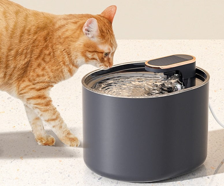 Pet Water Fountain