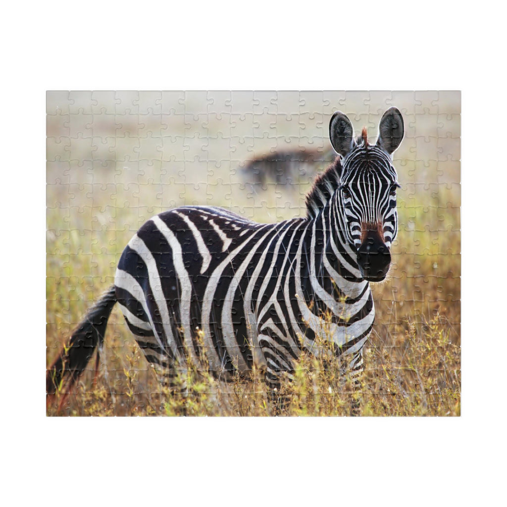 Zebra in Grassland Jigsaw Puzzle — Wildlife Photo Puzzle (110/252/520/1014 pcs)