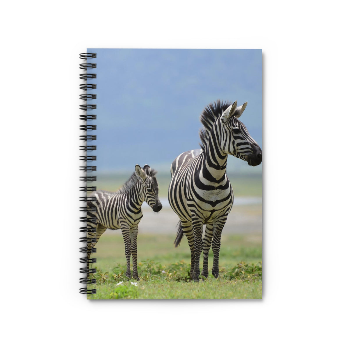 Zebra Mama & Foal Spiral Notebook — Ruled Journal for Wildlife Lovers