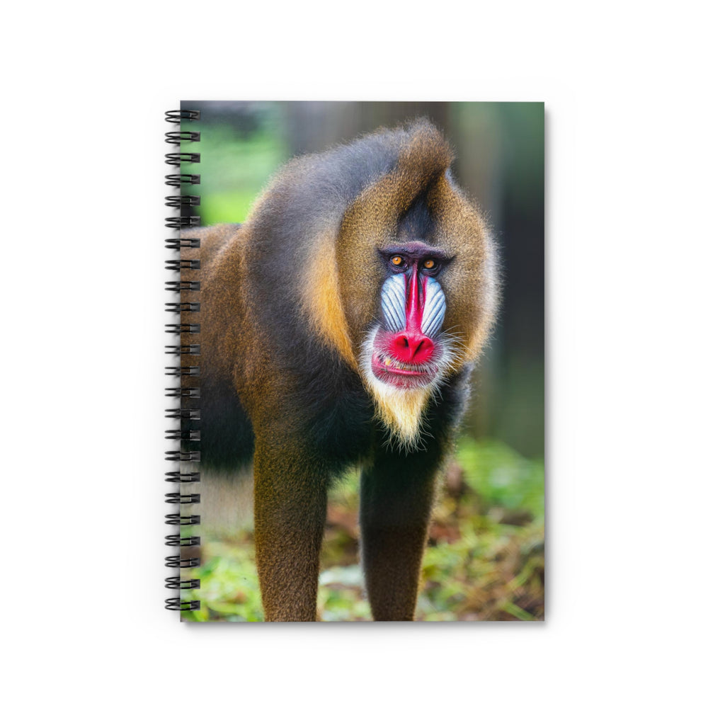 Mandrill Portrait Spiral Notebook — Colorful Primate Photo Ruled Journal
