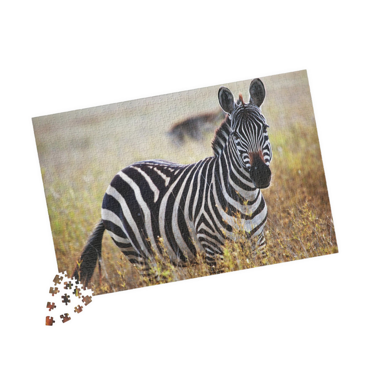 Zebra in Grassland Jigsaw Puzzle — Wildlife Photo Puzzle (110/252/520/1014 pcs)