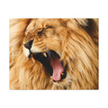 Lion Canvas