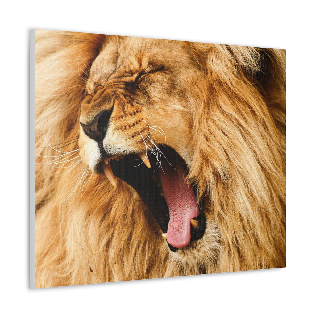 Lion Canvas