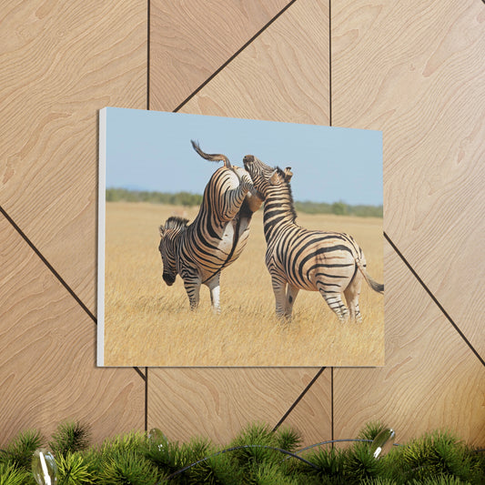 Zebra Canvas