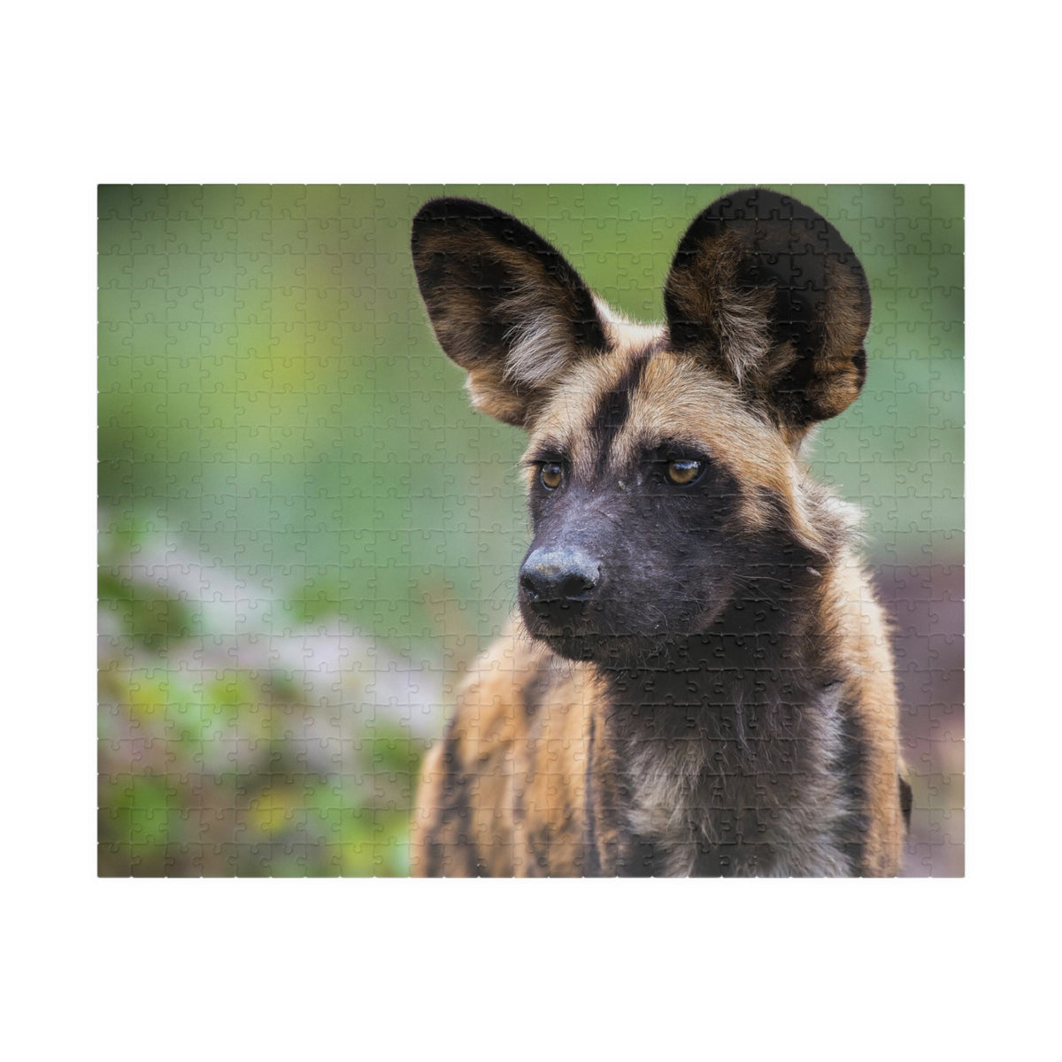 African Wild Dog Jigsaw Puzzle — Wildlife Photography Puzzle (110/252/520/1014 pcs)