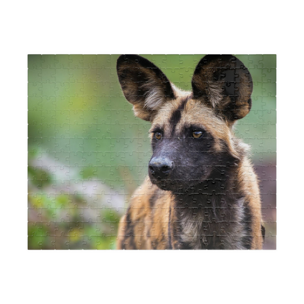 African Wild Dog Jigsaw Puzzle — Wildlife Photography Puzzle (110/252/520/1014 pcs)