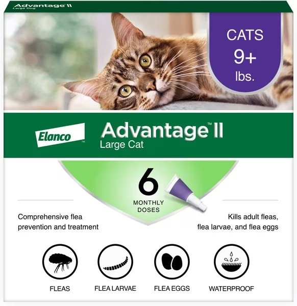 Advantage II Flea Prevention