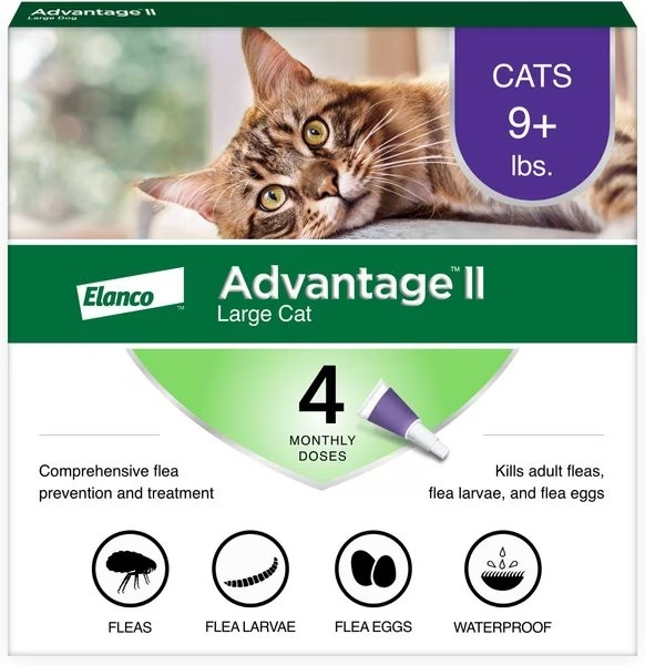 Advantage II Flea Prevention
